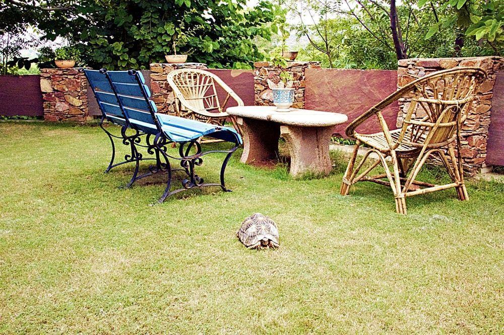 Devra Udaipur Hotel Ngoại thất bức ảnh